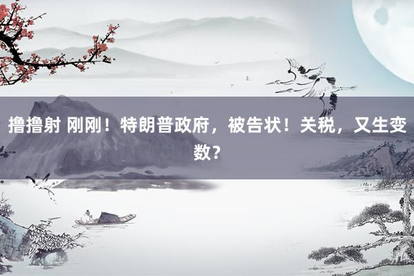 撸撸射 刚刚！特朗普政府，被告状！关税，又生变数？