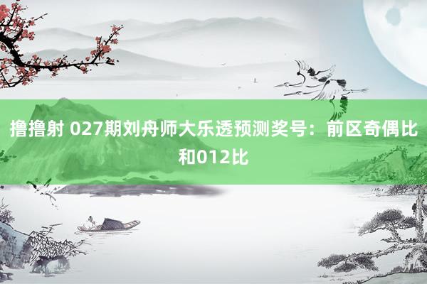 撸撸射 027期刘舟师大乐透预测奖号：前区奇偶比和012比
