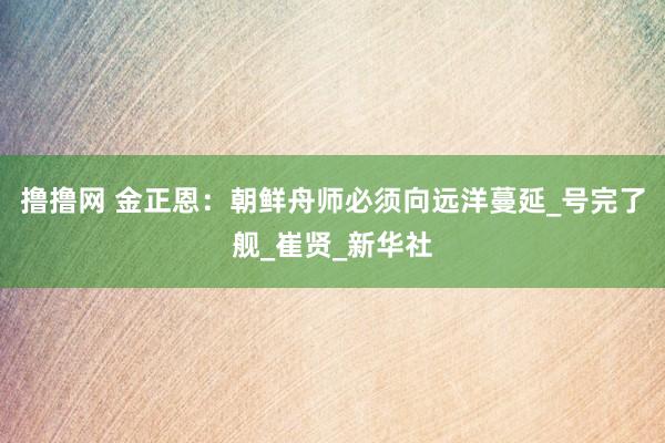 撸撸网 金正恩：朝鲜舟师必须向远洋蔓延_号完了舰_崔贤_新华社