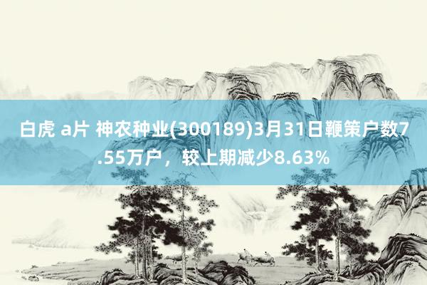 白虎 a片 神农种业(300189)3月31日鞭策户数7.55万户，较上期减少8.63%