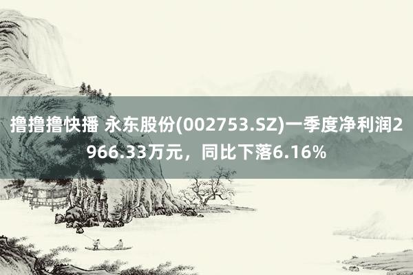 撸撸撸快播 永东股份(002753.SZ)一季度净利润2966.33万元，同比下落6.16%